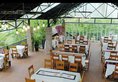 Richis Beach Resort в Фукуок Вьетнам ✅. Забронировать номер онлайн по выгодной цене в Richis Beach Resort. Трансфер из аэропорта.