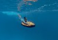 Royal Island Resort & Spa в Атолл Баа Мальдивы ✅. Забронировать номер онлайн по выгодной цене в Royal Island Resort & Spa. Трансфер из аэропорта.