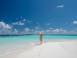 Royal Island Resort & Spa в Атолл Баа Мальдивы ✅. Забронировать номер онлайн по выгодной цене в Royal Island Resort & Spa. Трансфер из аэропорта.