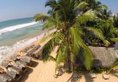 Royal Beach Hotel & Restaurant в Хиккадува Шри-Ланка ✅. Забронировать номер онлайн по выгодной цене в Royal Beach Hotel & Restaurant. Трансфер из аэропорта.