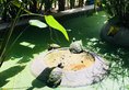 Sahaa Beach в Сиануквиль Камбоджа ✅. Забронировать номер онлайн по выгодной цене в Sahaa Beach. Трансфер из аэропорта.