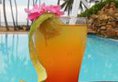 Sanmali Beach Hotel в Маравила Шри-Ланка ✅. Забронировать номер онлайн по выгодной цене в Sanmali Beach Hotel. Трансфер из аэропорта.