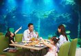 Palace Resort & Spa Yalong Bay Sanya в Хайнань Китай ✅. Забронировать номер онлайн по выгодной цене в Palace Resort & Spa Yalong Bay Sanya. Трансфер из аэропорта.