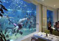 Sanya Palace Resort Yalong Bay в Хайнань Китай ✅. Забронировать номер онлайн по выгодной цене в Sanya Palace Resort Yalong Bay. Трансфер из аэропорта.