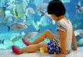 Sanya Palace Resort Yalong Bay в Хайнань Китай ✅. Забронировать номер онлайн по выгодной цене в Sanya Palace Resort Yalong Bay. Трансфер из аэропорта.