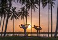 Shangri-La Hambantota в Хамбантота Шри-Ланка ✅. Забронировать номер онлайн по выгодной цене в Shangri-La Hambantota. Трансфер из аэропорта.
