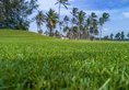 Shangri-La Hambantota в Хамбантота Шри-Ланка ✅. Забронировать номер онлайн по выгодной цене в Shangri-La Hambantota. Трансфер из аэропорта.
