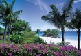Shangri-la Mactan в Себу Филиппины ✅. Забронировать номер онлайн по выгодной цене в Shangri-la Mactan. Трансфер из аэропорта.