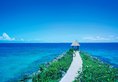 Shangri-la Mactan в Себу Филиппины ✅. Забронировать номер онлайн по выгодной цене в Shangri-la Mactan. Трансфер из аэропорта.