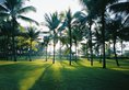 Shangri-la Mactan в Себу Филиппины ✅. Забронировать номер онлайн по выгодной цене в Shangri-la Mactan. Трансфер из аэропорта.