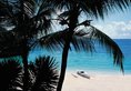 Shangri-la Mactan в Себу Филиппины ✅. Забронировать номер онлайн по выгодной цене в Shangri-la Mactan. Трансфер из аэропорта.