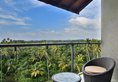 Sheraton Kosgoda Turtle Beach Resort в Косгода Шри-Ланка ✅. Забронировать номер онлайн по выгодной цене в Sheraton Kosgoda Turtle Beach Resort. Трансфер из аэропорта.
