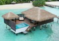 Sheraton Maldives Full Moon Resort & Spa в Атолл Северный Мале Мальдивы ✅. Забронировать номер онлайн по выгодной цене в Sheraton Maldives Full Moon Resort & Spa. Трансфер из аэропорта.