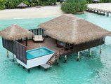 Sheraton Maldives Full Moon Resort & Spa в Атолл Северный Мале Мальдивы ✅. Забронировать номер онлайн по выгодной цене в Sheraton Maldives Full Moon Resort & Spa. Трансфер из аэропорта.