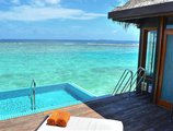 Sheraton Maldives Full Moon Resort & Spa в Атолл Северный Мале Мальдивы ✅. Забронировать номер онлайн по выгодной цене в Sheraton Maldives Full Moon Resort & Spa. Трансфер из аэропорта.