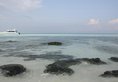 Song Saa Private Island в Сиануквиль Камбоджа ✅. Забронировать номер онлайн по выгодной цене в Song Saa Private Island. Трансфер из аэропорта.