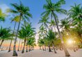 South Palms Resort Panglao в Бохоль Филиппины ✅. Забронировать номер онлайн по выгодной цене в South Palms Resort Panglao. Трансфер из аэропорта.