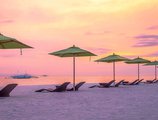 South Palms Resort Panglao в Бохоль Филиппины ✅. Забронировать номер онлайн по выгодной цене в South Palms Resort Panglao. Трансфер из аэропорта.