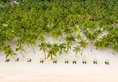 South Palms Resort Panglao в Бохоль Филиппины ✅. Забронировать номер онлайн по выгодной цене в South Palms Resort Panglao. Трансфер из аэропорта.