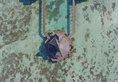 Sun Island Resort & Spa в Атолл Южный Ари Мальдивы ✅. Забронировать номер онлайн по выгодной цене в Sun Island Resort & Spa. Трансфер из аэропорта.