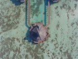 Sun Island Resort & Spa в Атолл Южный Ари Мальдивы ✅. Забронировать номер онлайн по выгодной цене в Sun Island Resort & Spa. Трансфер из аэропорта.