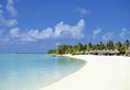 Sun Island Resort & Spa в Атолл Южный Ари Мальдивы ✅. Забронировать номер онлайн по выгодной цене в Sun Island Resort & Spa. Трансфер из аэропорта.