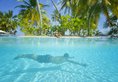 Sun Island Resort & Spa в Атолл Южный Ари Мальдивы ✅. Забронировать номер онлайн по выгодной цене в Sun Island Resort & Spa. Трансфер из аэропорта.