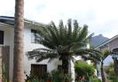 Sun Properties & Resort Hotel в Маэ Сейшелы ✅. Забронировать номер онлайн по выгодной цене в Sun Properties & Resort Hotel. Трансфер из аэропорта.