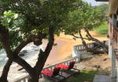 Sun N Sea Hotel в Унаватуна Шри-Ланка ✅. Забронировать номер онлайн по выгодной цене в Sun N Sea Hotel. Трансфер из аэропорта.
