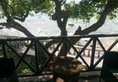 Sun N Sea Hotel в Унаватуна Шри-Ланка ✅. Забронировать номер онлайн по выгодной цене в Sun N Sea Hotel. Трансфер из аэропорта.