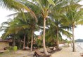 Sunset Beach Resort в Лангкави Малайзия ✅. Забронировать номер онлайн по выгодной цене в Sunset Beach Resort. Трансфер из аэропорта.