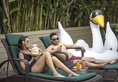 Swiss Belhotel Rain Forest в регион Кута Индонезия ✅. Забронировать номер онлайн по выгодной цене в Swiss Belhotel Rain Forest. Трансфер из аэропорта.