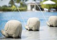 Taj Bentota Resort & Spa - Level 1 Certified в Бентота Шри-Ланка ✅. Забронировать номер онлайн по выгодной цене в Taj Bentota Resort & Spa - Level 1 Certified. Трансфер из аэропорта.