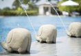 Taj Bentota Resort & Spa - Level 1 Certified в Бентота Шри-Ланка ✅. Забронировать номер онлайн по выгодной цене в Taj Bentota Resort & Spa - Level 1 Certified. Трансфер из аэропорта.