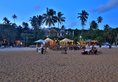 Thaproban Beach House в Унаватуна Шри-Ланка ✅. Забронировать номер онлайн по выгодной цене в Thaproban Beach House. Трансфер из аэропорта.