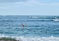 Thaproban Beach House в Унаватуна Шри-Ланка ✅. Забронировать номер онлайн по выгодной цене в Thaproban Beach House. Трансфер из аэропорта.