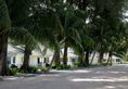 Thavorn Beach Village Resort & Spa Phuket в Пхукет Таиланд ✅. Забронировать номер онлайн по выгодной цене в Thavorn Beach Village Resort & Spa Phuket. Трансфер из аэропорта.