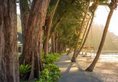 Thavorn Beach Village Resort & Spa Phuket в Пхукет Таиланд ✅. Забронировать номер онлайн по выгодной цене в Thavorn Beach Village Resort & Spa Phuket. Трансфер из аэропорта.