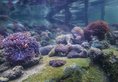 The Andaman, a Luxury Collection Resort в Лангкави Малайзия ✅. Забронировать номер онлайн по выгодной цене в The Andaman, a Luxury Collection Resort. Трансфер из аэропорта.