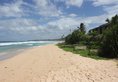 The Beach Cabanas Retreat & Spa в Коггала Шри-Ланка ✅. Забронировать номер онлайн по выгодной цене в The Beach Cabanas Retreat & Spa. Трансфер из аэропорта.
