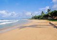 The Beach Cabanas Retreat & Spa в Коггала Шри-Ланка ✅. Забронировать номер онлайн по выгодной цене в The Beach Cabanas Retreat & Spa. Трансфер из аэропорта.