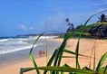 The Beach Cabanas Retreat & Spa в Коггала Шри-Ланка ✅. Забронировать номер онлайн по выгодной цене в The Beach Cabanas Retreat & Spa. Трансфер из аэропорта.