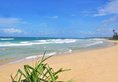 The Beach Cabanas Retreat & Spa в Коггала Шри-Ланка ✅. Забронировать номер онлайн по выгодной цене в The Beach Cabanas Retreat & Spa. Трансфер из аэропорта.