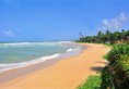 The Beach Cabanas Retreat & Spa в Коггала Шри-Ланка ✅. Забронировать номер онлайн по выгодной цене в The Beach Cabanas Retreat & Spa. Трансфер из аэропорта.