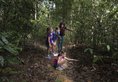 The Datai в Лангкави Малайзия ✅. Забронировать номер онлайн по выгодной цене в The Datai. Трансфер из аэропорта.