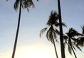 The Frangipani Langkawi Resort & Spa в Лангкави Малайзия ✅. Забронировать номер онлайн по выгодной цене в The Frangipani Langkawi Resort & Spa. Трансфер из аэропорта.