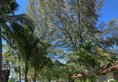 The Frangipani Langkawi Resort & Spa в Лангкави Малайзия ✅. Забронировать номер онлайн по выгодной цене в The Frangipani Langkawi Resort & Spa. Трансфер из аэропорта.