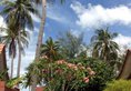 The Frangipani Langkawi Resort & Spa в Лангкави Малайзия ✅. Забронировать номер онлайн по выгодной цене в The Frangipani Langkawi Resort & Spa. Трансфер из аэропорта.