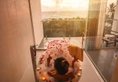 The Habitat Kosgoda by Asia Leisure в Косгода Шри-Ланка ✅. Забронировать номер онлайн по выгодной цене в The Habitat Kosgoda by Asia Leisure. Трансфер из аэропорта.
