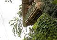 Jungle Retreat by Kupu Kupu Barong в регион Убуд Индонезия ✅. Забронировать номер онлайн по выгодной цене в Jungle Retreat by Kupu Kupu Barong. Трансфер из аэропорта.